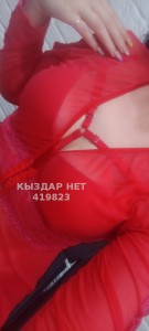 Проститутка Усть-Каменогорска Анкета №419823 Фотография №3225334